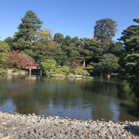 |5444| | Zahrada Kjóto Gyoen