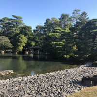 |5445| | Zahrada Kjóto Gyoen