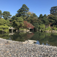 |5447| | Zahrada Kjóto Gyoen