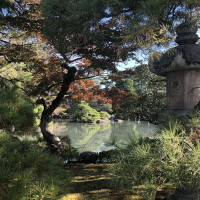 |5453| | Zahrada Kjóto Gyoen