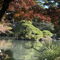 |5454| | Zahrada Kjóto Gyoen