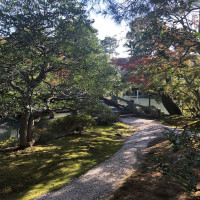 |5455| | Zahrada Kjóto Gyoen