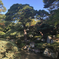|5458| | Zahrada Kjóto Gyoen