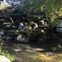 |5459| | Zahrada Kjóto Gyoen
