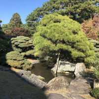 |5461| | Zahrada Kjóto Gyoen