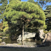 |5462| | Zahrada Kjóto Gyoen