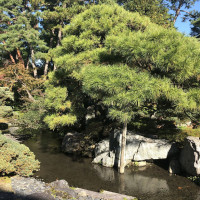 |5464| | Zahrada Kjóto Gyoen