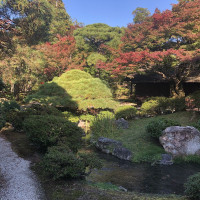 |5465| | Zahrada Kjóto Gyoen
