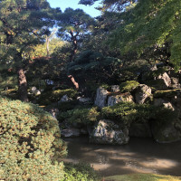 |5470| | Zahrada Kjóto Gyoen