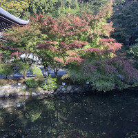 |5354| | Zahrada Kjóto Murin-an