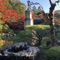 |5356| | Zahrada Kjóto Murin-an