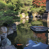 |5357| | Zahrada Kjóto Murin-an