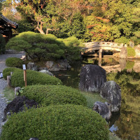 |5358| | Zahrada Kjóto Murin-an