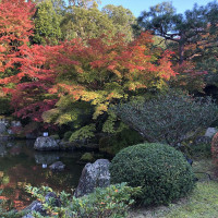 |5359| | Zahrada Kjóto Murin-an