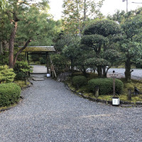 |5360| | Zahrada Kjóto Murin-an
