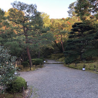 |5361| | Zahrada Kjóto Murin-an