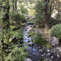 |5362| | Zahrada Kjóto Murin-an