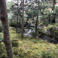|5363| | Zahrada Kjóto Murin-an
