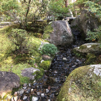|5364| | Zahrada Kjóto Murin-an