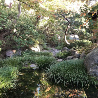 |5365| | Zahrada Kjóto Murin-an