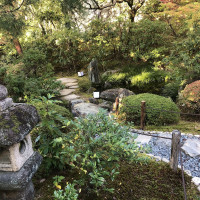 |5367| | Zahrada Kjóto Murin-an