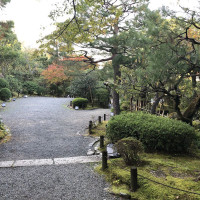 |5369| | Zahrada Kjóto Murin-an