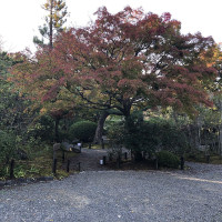 |5370| | Zahrada Kjóto Murin-an