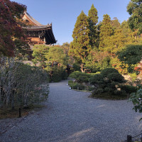 |5371| | Zahrada Kjóto Murin-an