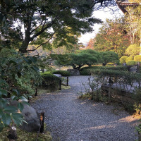 |5372| | Zahrada Kjóto Murin-an