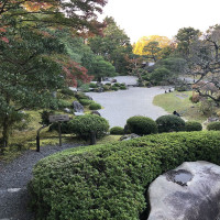 |5373| | Zahrada Kjóto Murin-an