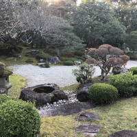 |5374| | Zahrada Kjóto Murin-an
