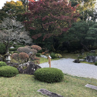 |5377| | Zahrada Kjóto Murin-an