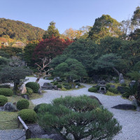 |5380| | Zahrada Kjóto Murin-an