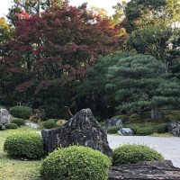 |5381| | Zahrada Kjóto Murin-an