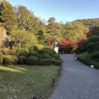 |5382| | Zahrada Kjóto Murin-an