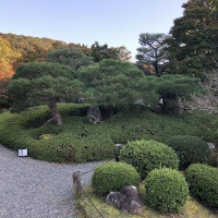 |5383| | Zahrada Kjóto Murin-an