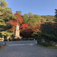 |5384| | Zahrada Kjóto Murin-an
