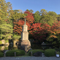 |5385| | Zahrada Kjóto Murin-an