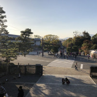 |5386| | Zahrada Kjóto Murin-an
