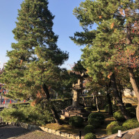 |5387| | Zahrada Kjóto Murin-an