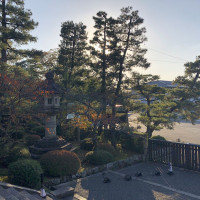|5388| | Zahrada Kjóto Murin-an