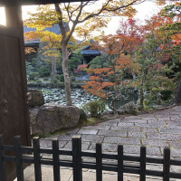 |5392| | Zahrada Kjóto Murin-an