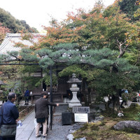 |5396| | Zahrada Kjóto Murin-an