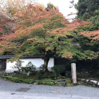 |5398| | Zahrada Kjóto Murin-an