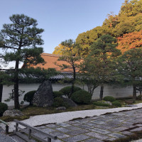 |5400| | Zahrada Kjóto Murin-an