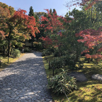|5506| | Zahrady Himedži Koko-en