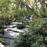 |5513| | Zahrady Himedži Koko-en
