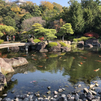 |5524| | Zahrady Himedži Koko-en