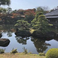 |5529| | Zahrady Himedži Koko-en