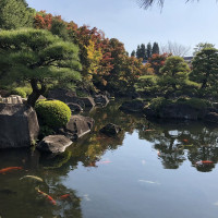 |5531| | Zahrady Himedži Koko-en